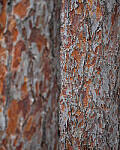 Click to see Y-JG-A7R-IV-TAMRON-18-300-8364-MOD.JPG