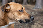 Click to see Y-JG-A7R-IV-TAMRON-18-300-8383-MOD.JPG