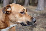 Click to see Y-JG-A7R-IV-TAMRON-18-300-8383.JPG
