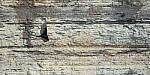 Click to see Y-JG-A7R-IV-TAMRON-18-300-8443-MOD.JPG