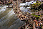 Click to see Y-JG-A7R-IV-TAMRON-18-300-8485-MOD.JPG