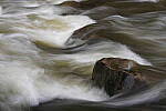 Click to see Y-JG-A7R-IV-TAMRON-18-300-8491.JPG