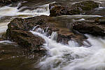Click to see Y-JG-A7R-IV-TAMRON-18-300-8507-MOD.JPG