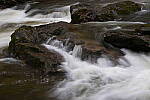 Click to see Y-JG-A7R-IV-TAMRON-18-300-8507.JPG