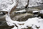 Click to see Y-JG-A7R-IV-TAMRON-28-75-7477.JPG