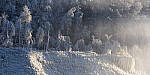 Click to see Y-JG-A7R-IV-TAMRON-28-75-7527-MOD.JPG