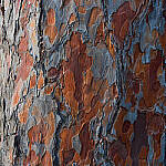 Click to see Y-JG-A7R-IV-TAMRON-28-75-7596-MOD.JPG