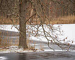 Click to see Y-JG-A7R-IV-TAMRON-35-150-7356-MOD.JPG