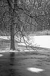 Click to see Y-JG-A7R-IV-TAMRON-35-150-7364-MOD.JPG