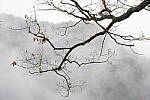 Click to see Y-JG-A7R-IV-TAMRON-35-150-7392.JPG