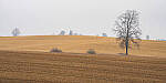 Click to see Y-JG-A7R-IV-TAMRON-35-150-7459-MOD.JPG
