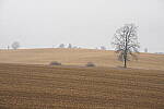 Click to see Y-JG-A7R-IV-TAMRON-35-150-7459.JPG