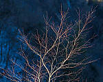 Click to see Y-JG-A7R-IV-TAMRON-35-150-7488-MOD.JPG