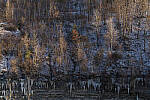 Click to see Y-JG-A7R-IV-TAMRON-35-150-7541-MOD.JPG