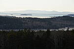 Click to see Y-JG-A7R-IV-TAMRON-35-150-7928.JPG