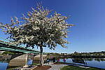 Click to see Y-JG-SONY-14-GM-1381.JPG