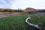 Click to see Y-JG-SONY-14-GM-1670.JPG