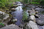 Click to see Y-JG-SONY-14-GM-1746.JPG