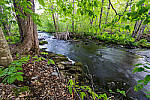 Click to see Y-JG-SONY-14-GM-1748-MOD.JPG