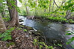 Click to see Y-JG-SONY-14-GM-1748.JPG