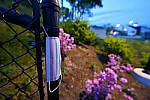 Click to see Y-JG-SONY-14-GM-1795.JPG