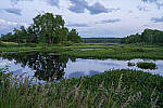 Click to see Y-JG-SONY-A7R-IV-35-GM-4690-MOD.JPG