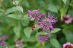 Click to see Y-JG-SONY-A7R-IV-35-GM-5665.JPG