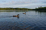 Click to see Y-JG-SONY-A7R-IV-35-GM-5771-MOD.JPG