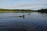 Click to see Y-JG-SONY-A7R-IV-35-GM-5771.JPG