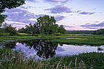 Click to see Y-JG-SONY-A7R-IV-35-GM-5879-MOD.JPG