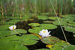 Click to see Y-JG-SONY-A7R-IV-35-GM-5898-MOD.JPG