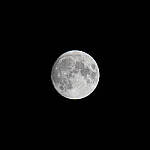 Click to see Y-JG-SONY-A7R-IV-SIGMA-150-600-4721-MOD.JPG