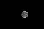 Click to see Y-JG-SONY-A7R-IV-SIGMA-150-600-4721.JPG