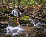 Click to see Y-JG-TAMRON-11-20-A7R-IV-6462-MOD.JPG