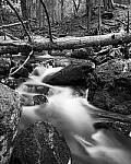 Click to see Y-JG-TAMRON-11-20-A7R-IV-6468-MOD.JPG