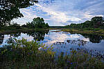Click to see Y-JG-TAMRON-11-20-A7R-IV-6515-MOD.JPG