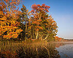 Click to see Y-JG-TAMRON-11-20-A7R-IV-6662-MOD.JPG