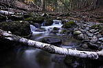 Click to see Y-JG-TAMRON-11-20-A7R-IV-6834.JPG