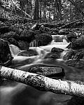Click to see Y-JG-TAMRON-11-20-A7R-IV-6835-MOD.JPG