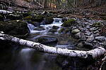 Click to see Y-JG-TAMRON-11-20-A7R-IV-6837.JPG
