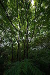 Click to see Y-WB-12_24GM-DSC00003.JPG