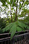 Click to see Y-WB-12_24GM-DSC00004.JPG
