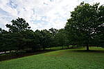 Click to see Y-WB-12_24GM-DSC00017.JPG