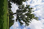 Click to see Y-WB-12_24GM-DSC00028.JPG