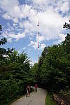 Click to see Y-WB-12_24GM-DSC00051.JPG