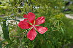 Click to see Y-WB-12_24GM-DSC00090.JPG