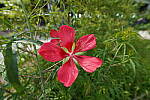 Click to see Y-WB-12_24GM-DSC00091.JPG