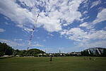 Click to see Y-WB-12_24GM-DSC00098.JPG