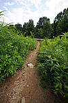 Click to see Y-WB-12_24GM-DSC00107.JPG