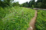 Click to see Y-WB-12_24GM-DSC00109.JPG